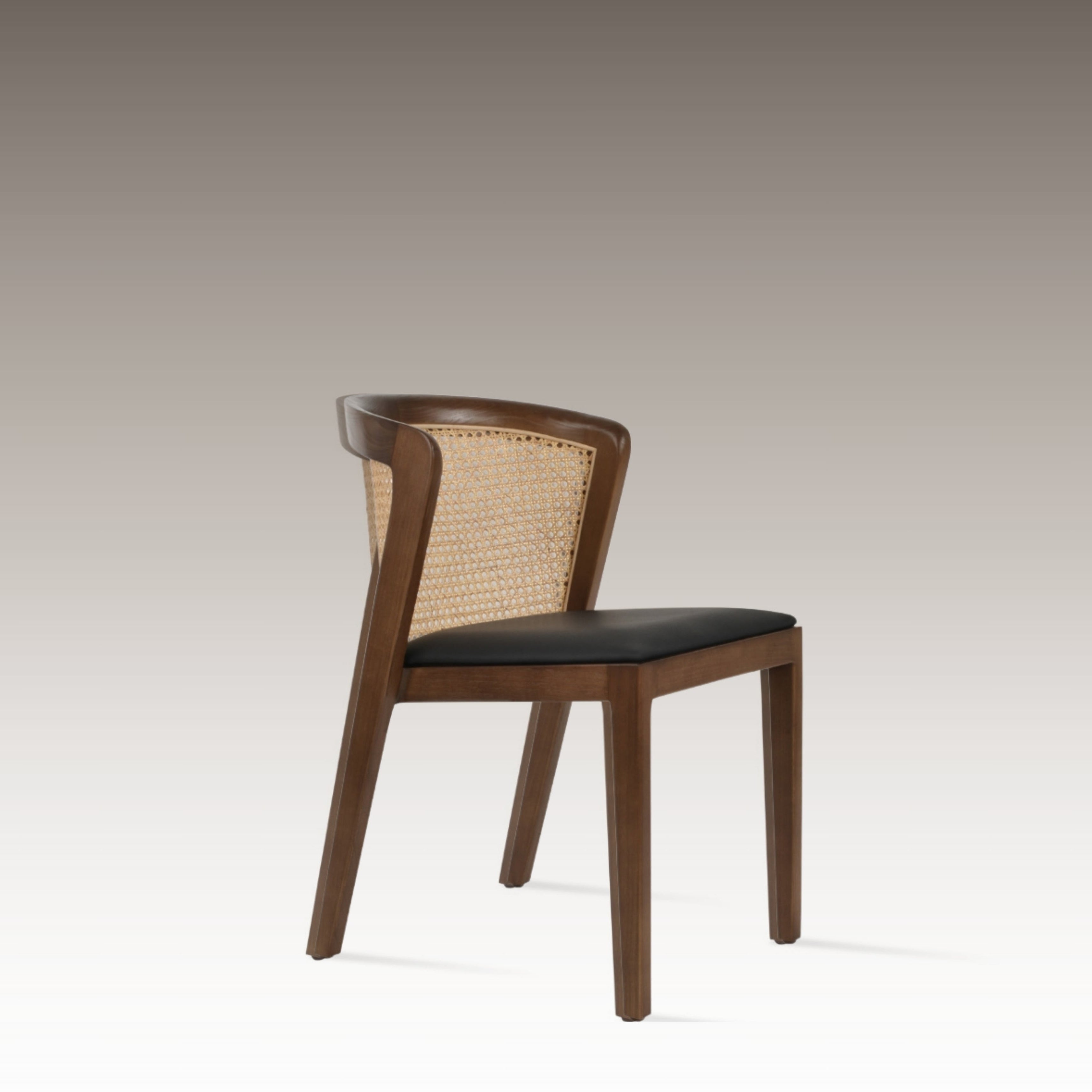 Eco Dining Chair