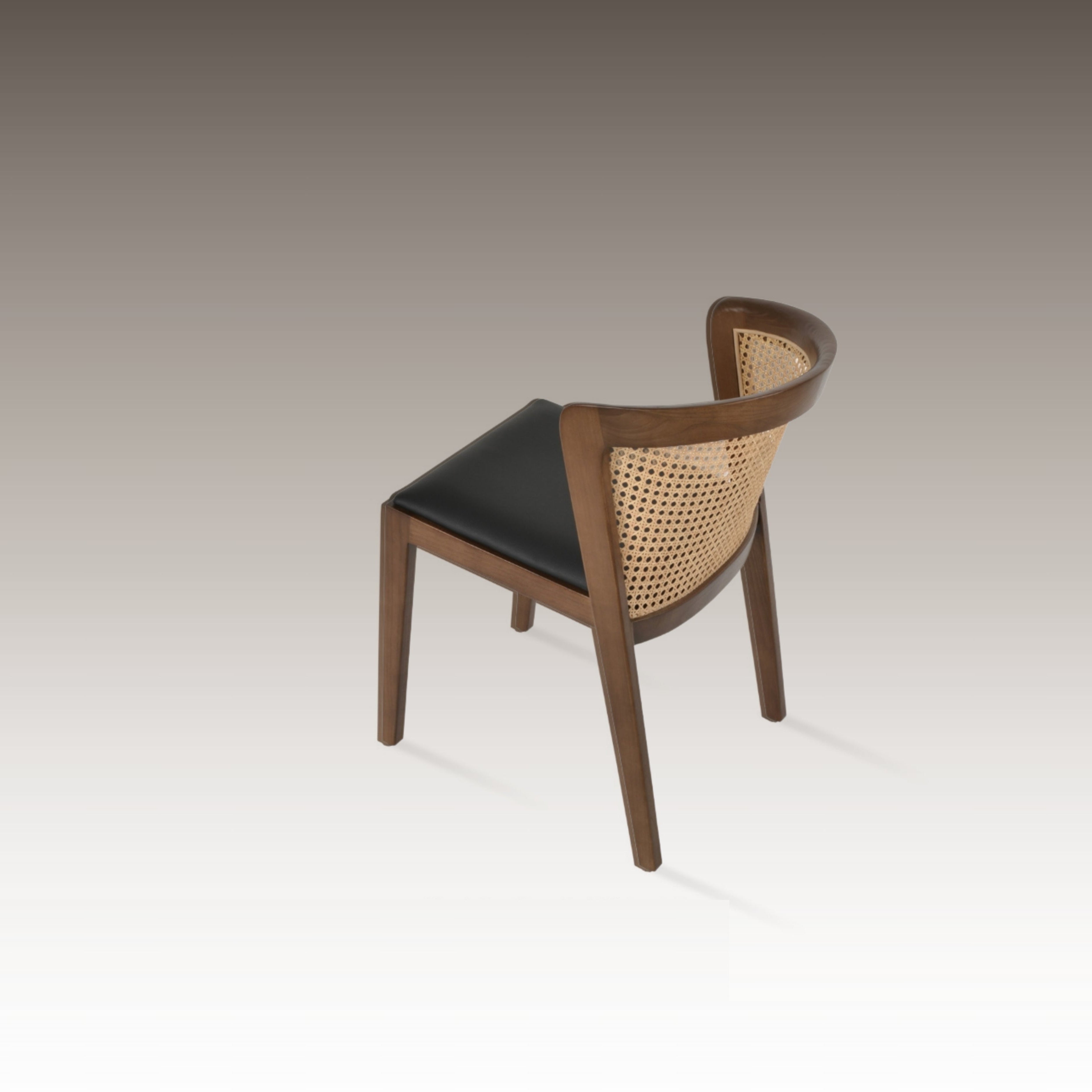 Eco Dining Chair - Back View