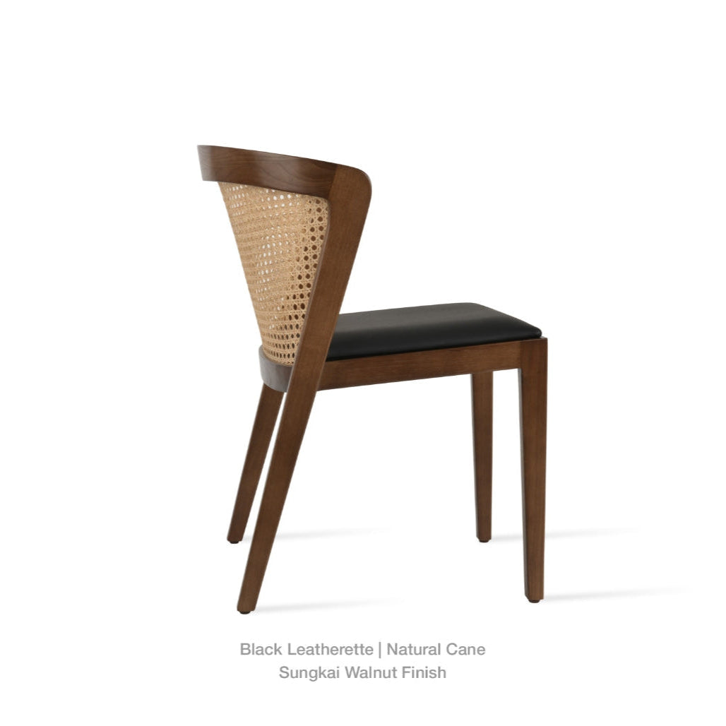 dining chairs with arms
