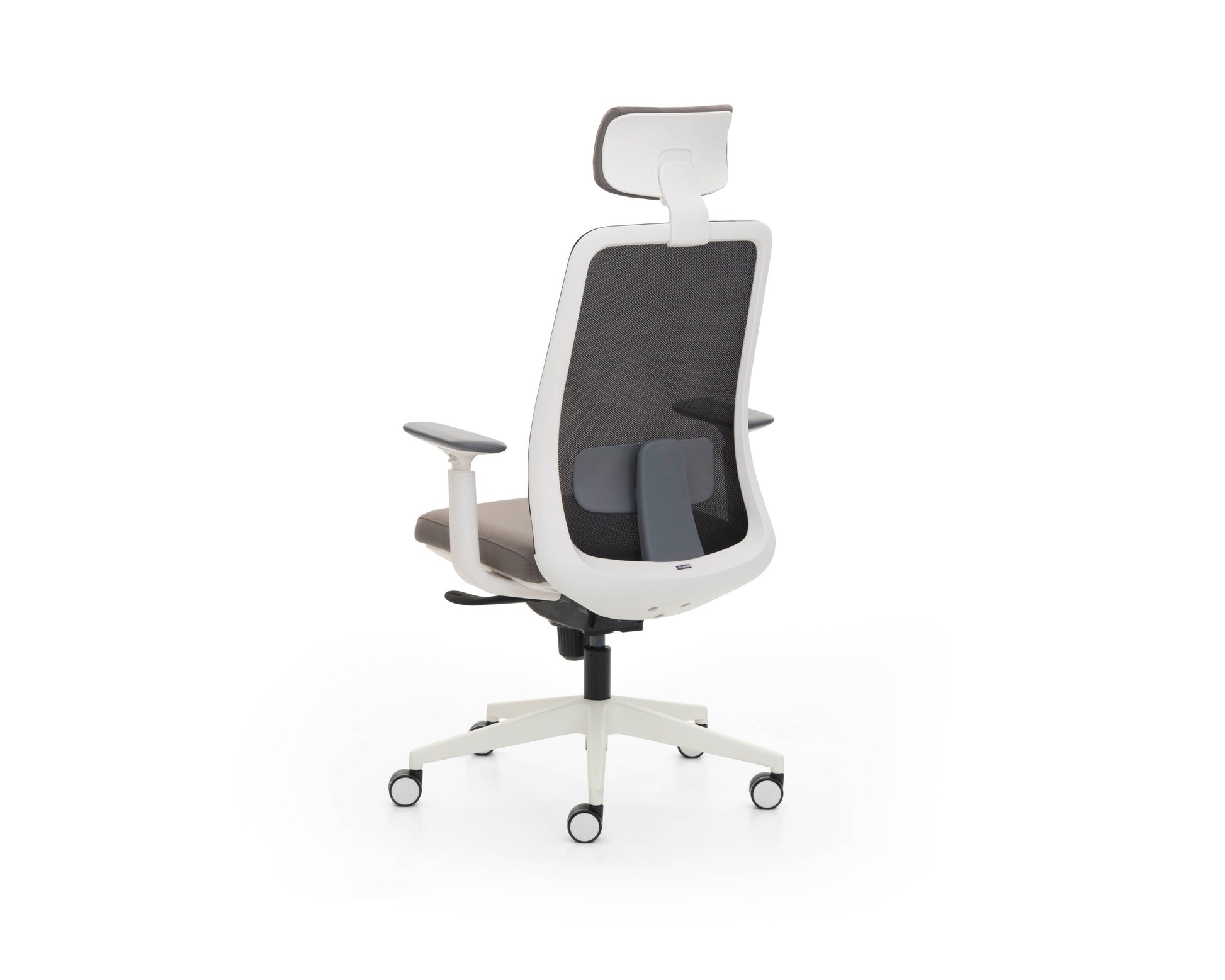 Modern office chair with white frame and black mesh backrest on a white background