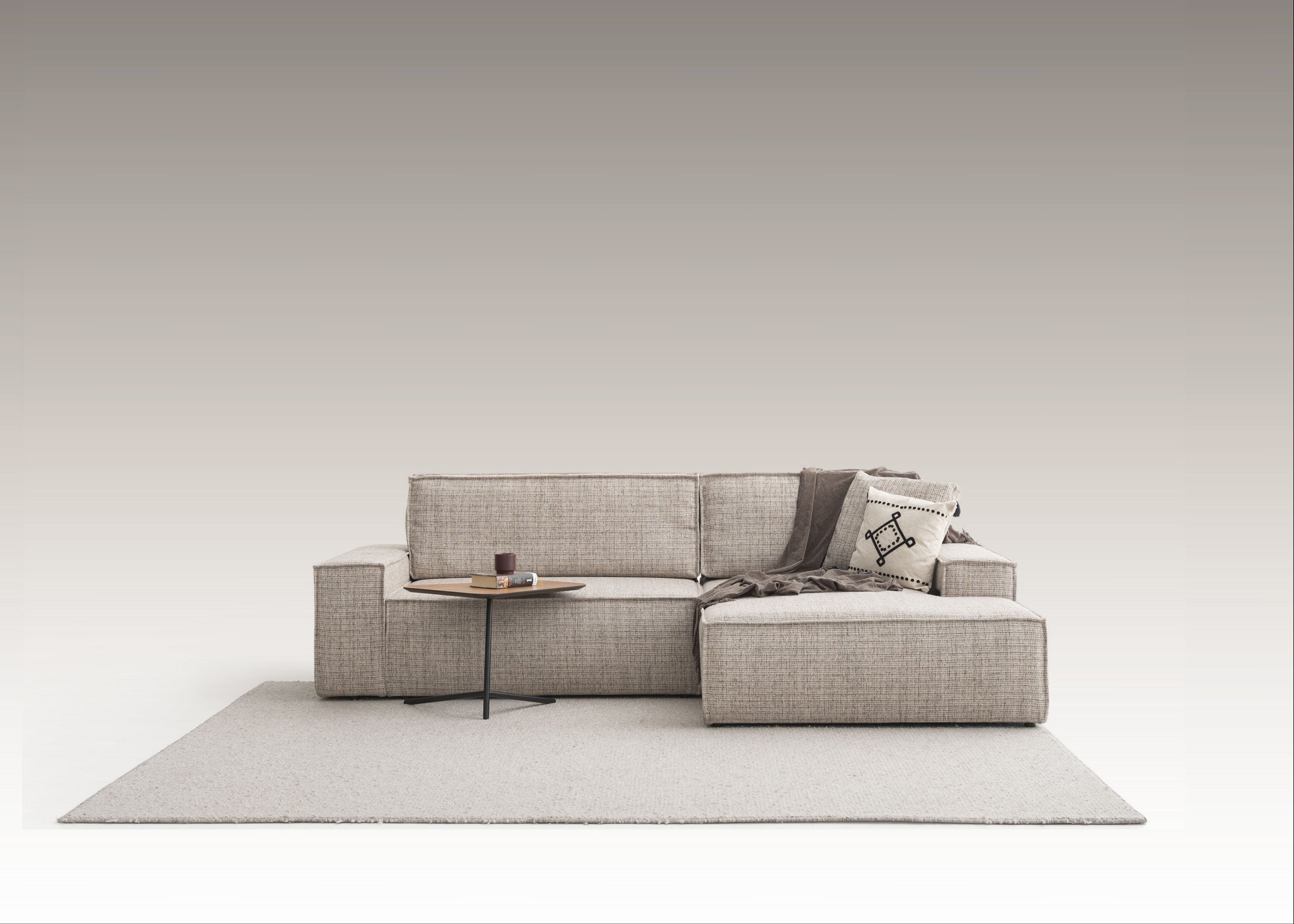 Comfort Loft Sofa Bed