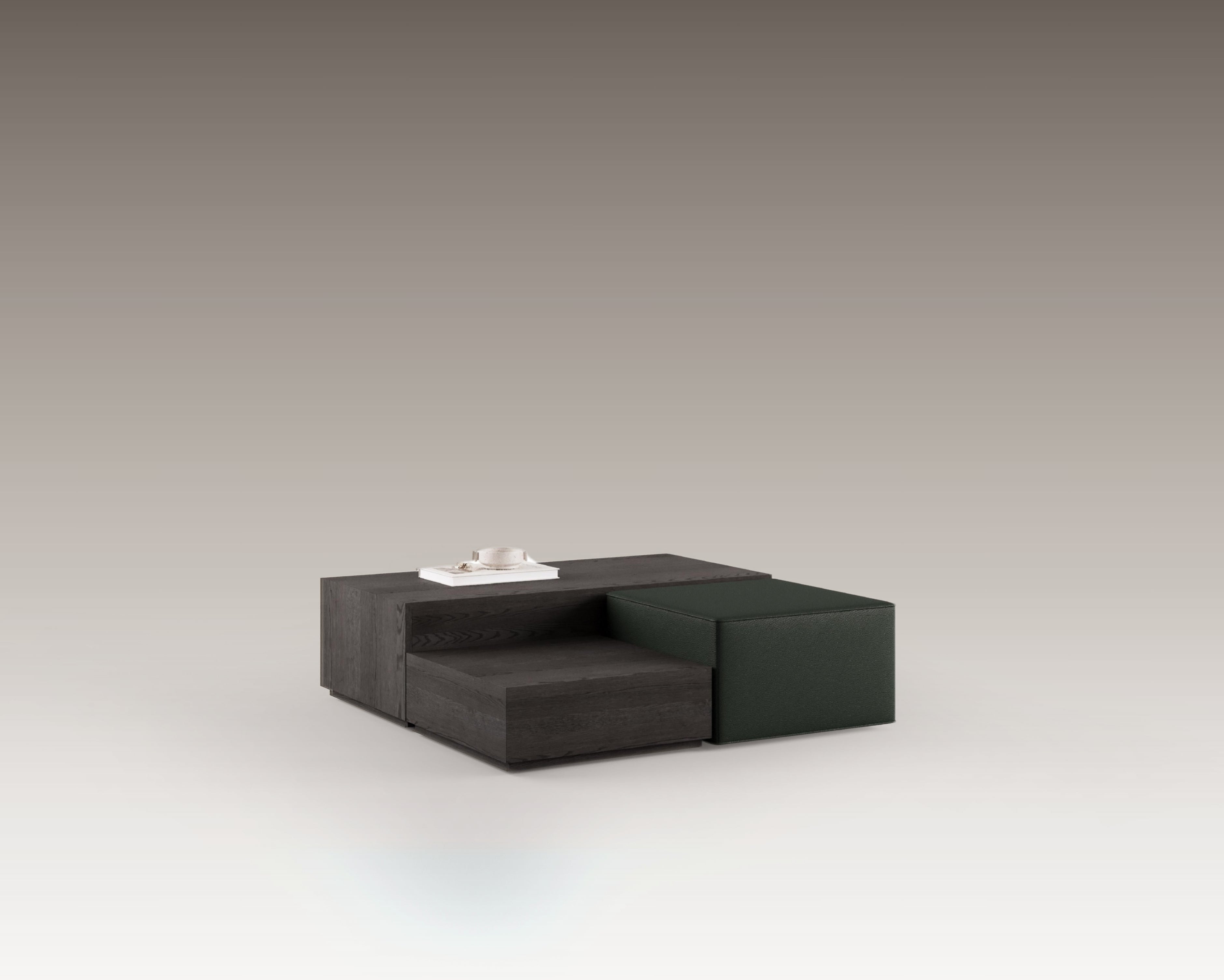 Lupa Coffee Table