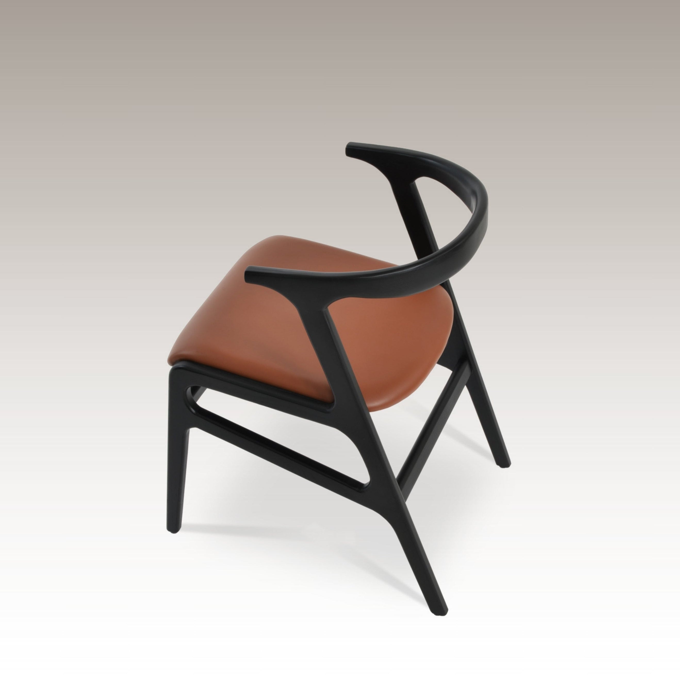 Aristo Dining Chair in Studio