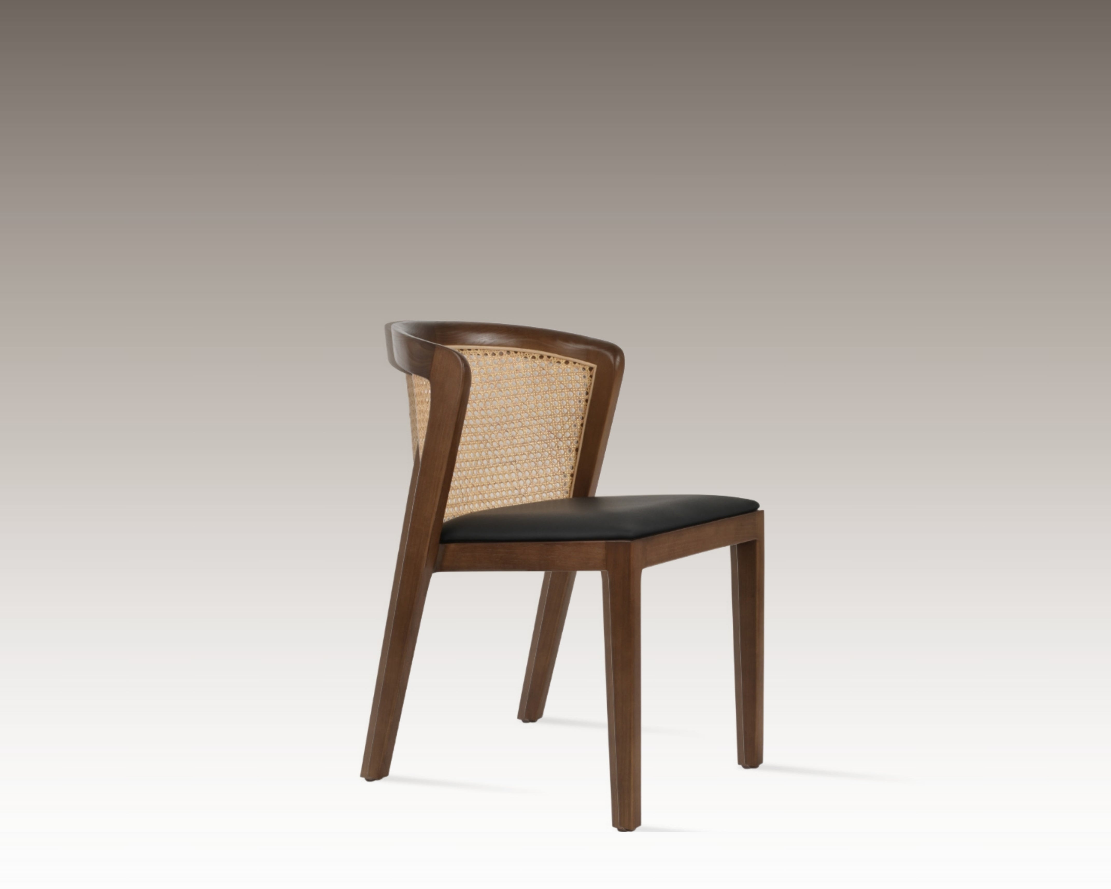 Eco Dining Chair