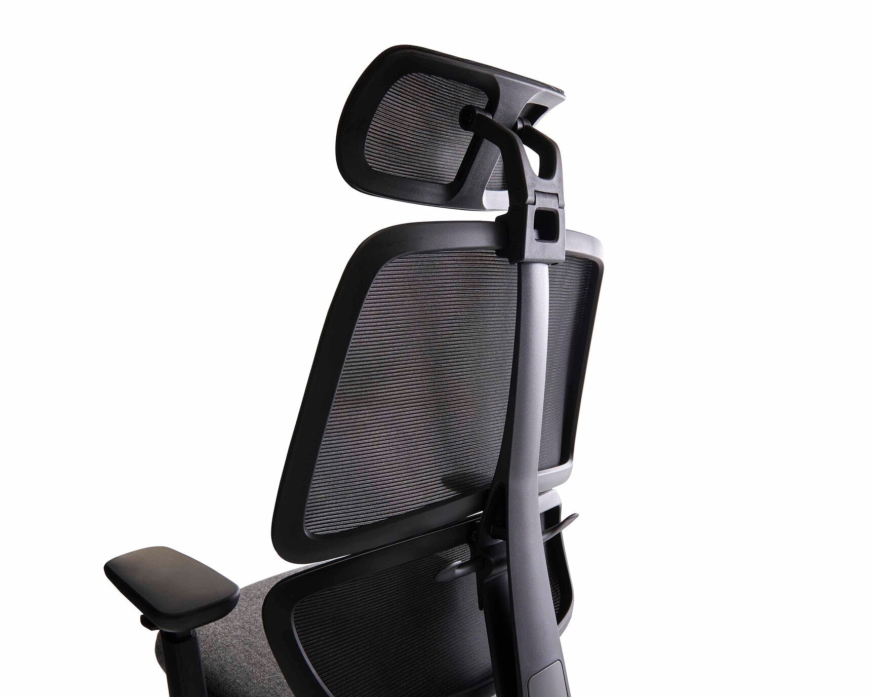Prime Executive Chair rear view showing lumbar support