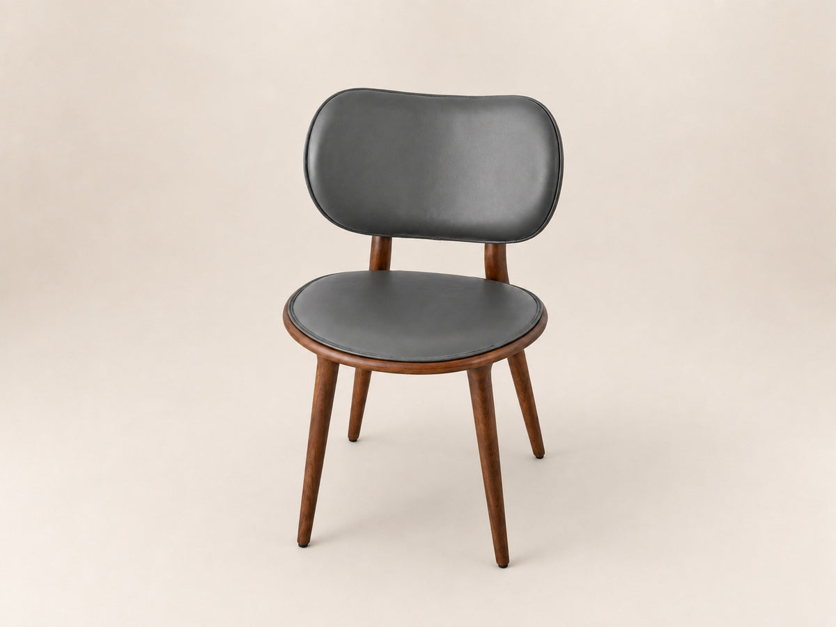Aaron Dining Chair in black finish designed for stylish dining rooms, restaurants and modern interiors