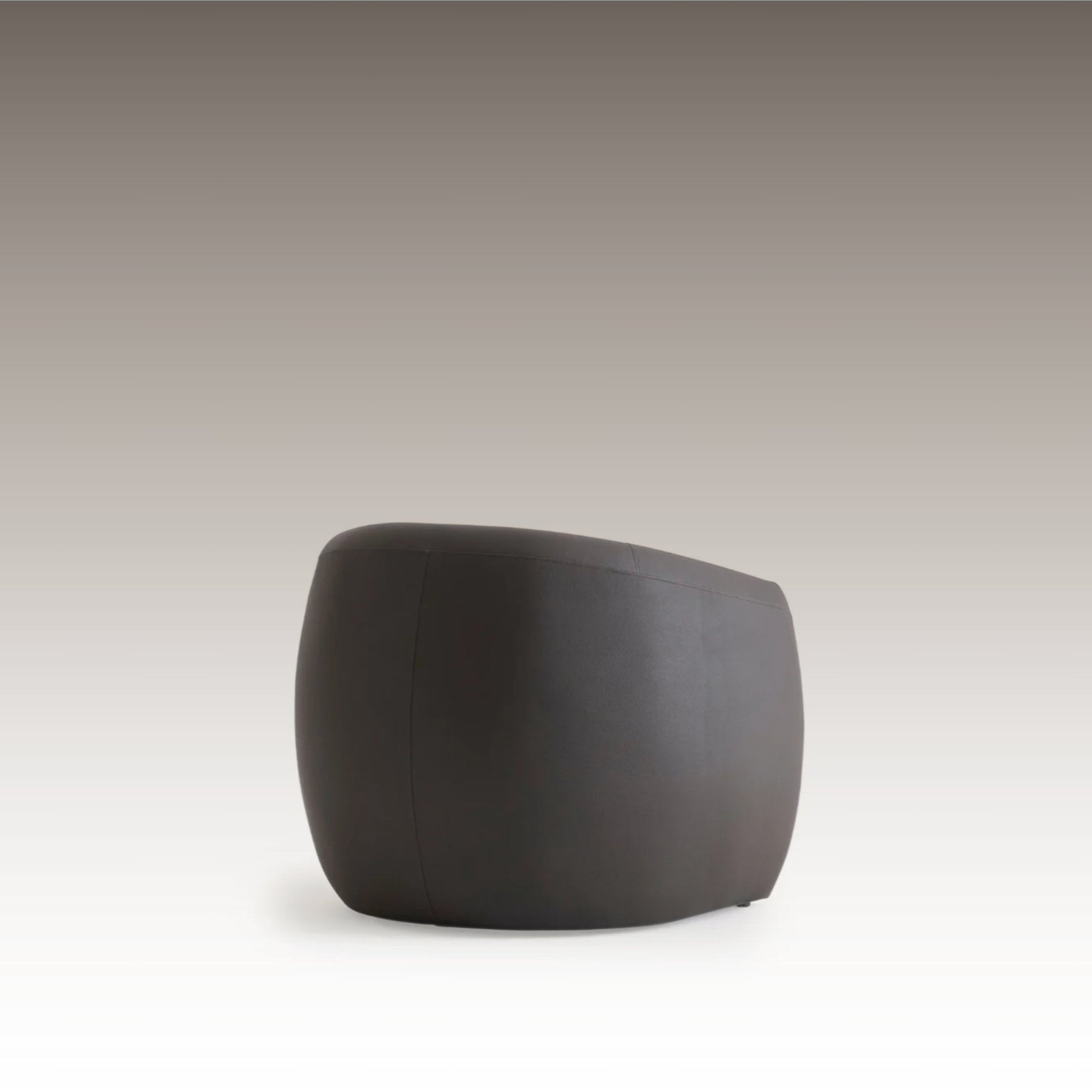 Classico Armchair in dark leather – rear view