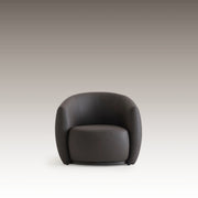 Classico Armchair in dark leather – front view